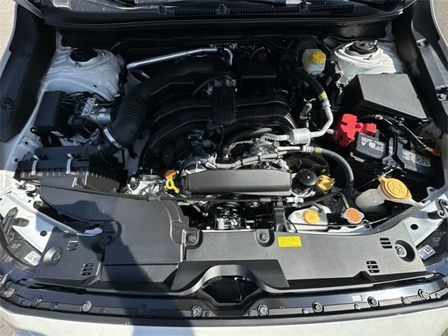 Thumbnail: 2025 Subaru Crosstrek - 9