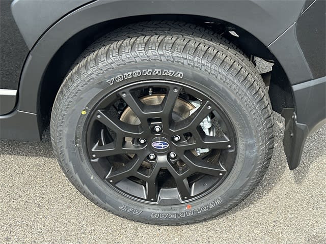 Thumbnail: 2025 Subaru Crosstrek - 8