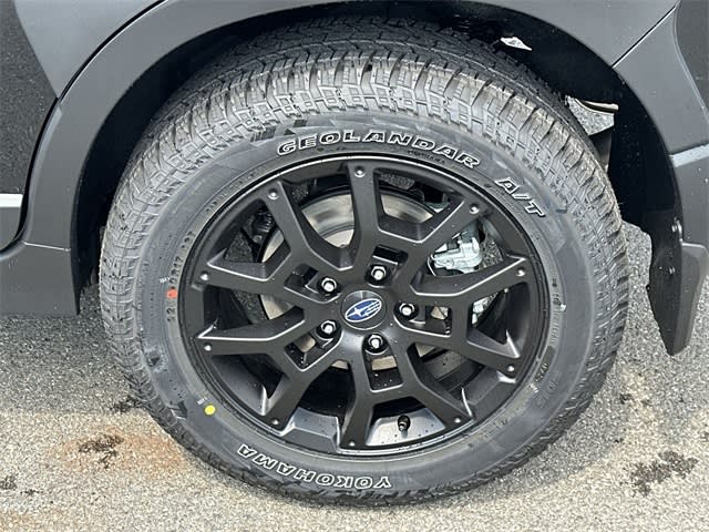 Thumbnail: 2025 Subaru Crosstrek - 8