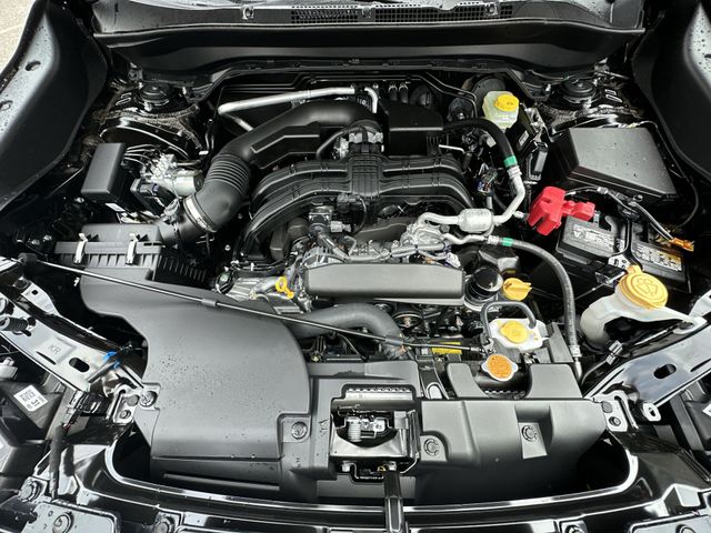 Thumbnail: 2026 Subaru Forester - 9