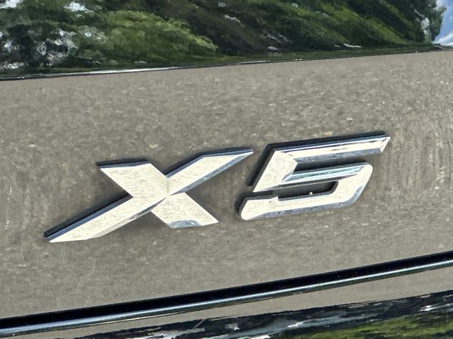 Thumbnail: 2019 BMW X5 - 30
