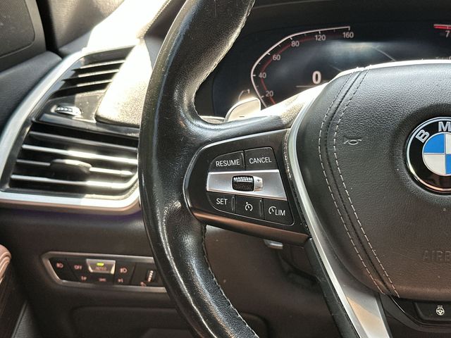 Thumbnail: 2019 BMW X5 - 19