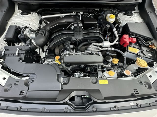 Thumbnail: 2025 Subaru Crosstrek - 9