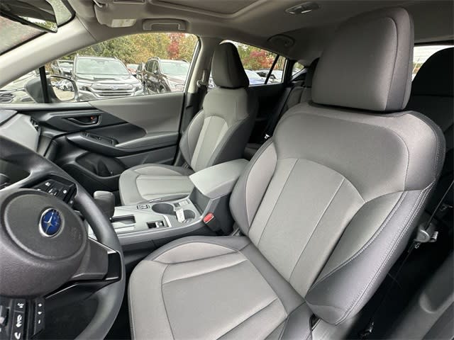 Thumbnail: 2025 Subaru Crosstrek - 10