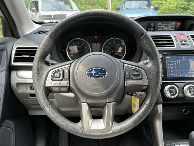 Thumbnail: 2017 Subaru Forester - 2