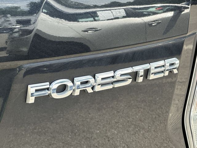 Thumbnail: 2017 Subaru Forester - 19