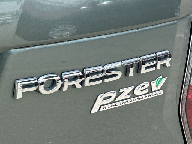 Thumbnail: 2016 Subaru Forester - 19