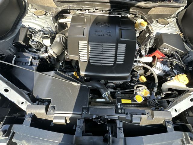 Thumbnail: 2019 Subaru Forester - 9