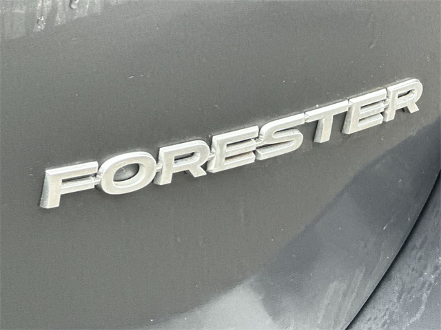 Thumbnail: 2022 Subaru Forester - 19