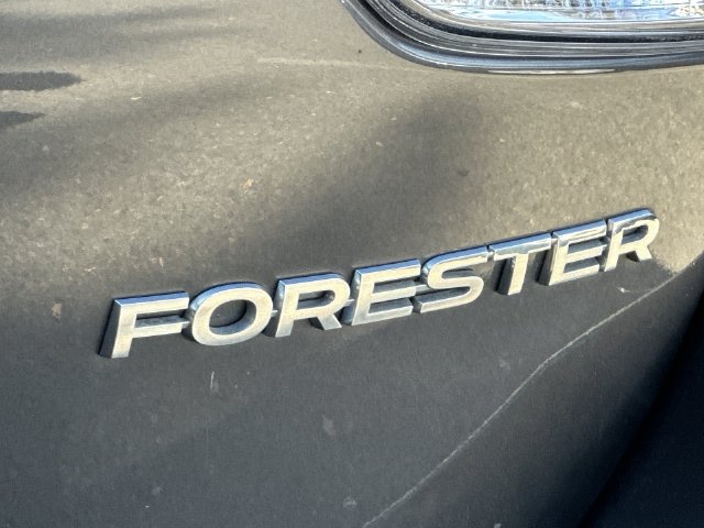 Thumbnail: 2021 Subaru Forester - 19