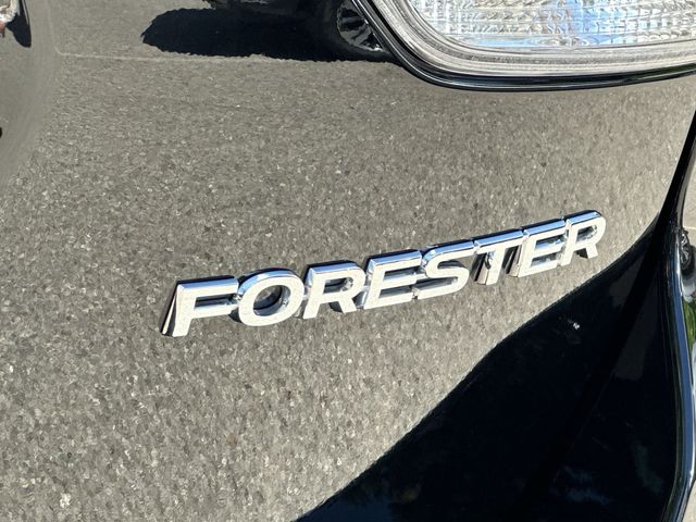 Thumbnail: 2024 Subaru Forester - 30
