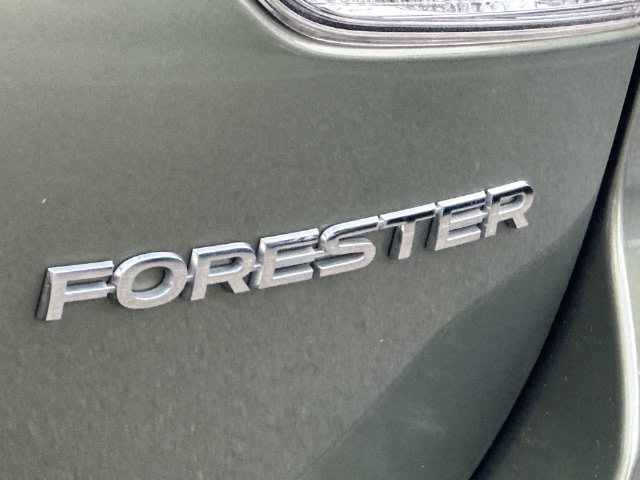 Thumbnail: 2019 Subaru Forester - 30