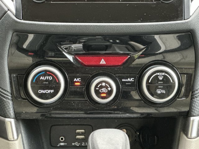 Thumbnail: 2019 Subaru Forester - 25