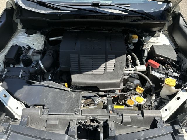 Thumbnail: 2019 Subaru Forester - 9