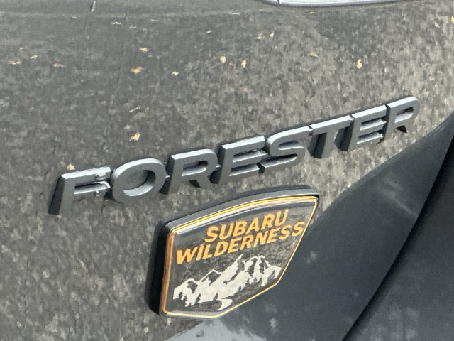 Thumbnail: 2024 Subaru Forester - 21