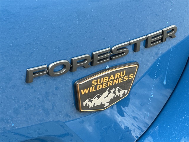 Thumbnail: 2025 Subaru Forester - 28