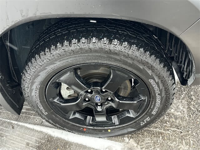 Thumbnail: 2025 Subaru Forester - 8