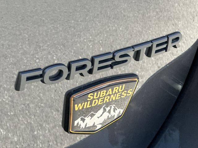 Thumbnail: 2025 Subaru Forester - 21