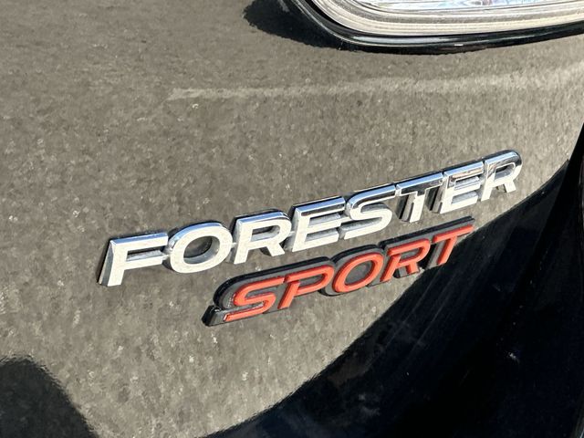 Thumbnail: 2019 Subaru Forester - 28