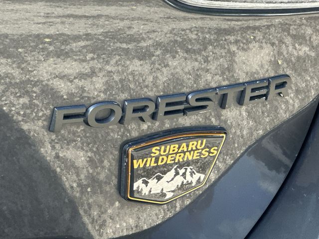 Thumbnail: 2022 Subaru Forester - 30