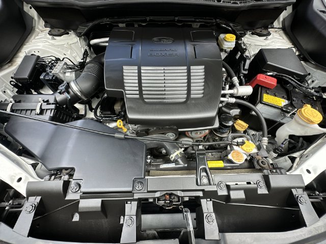 Thumbnail: 2024 Subaru Forester - 9