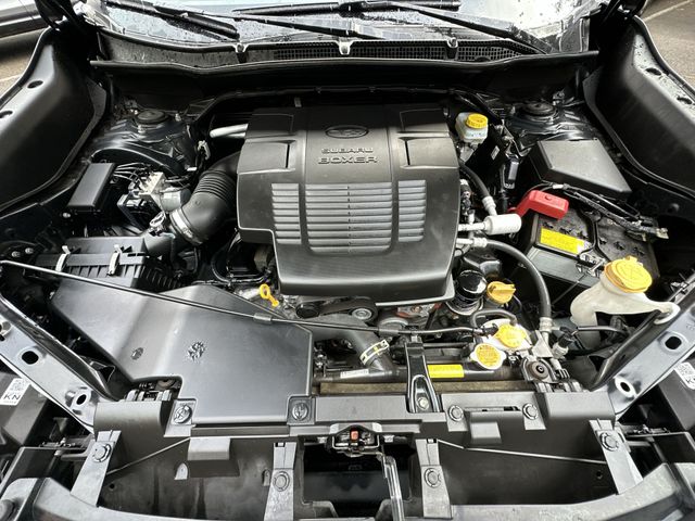 Thumbnail: 2023 Subaru Forester - 9