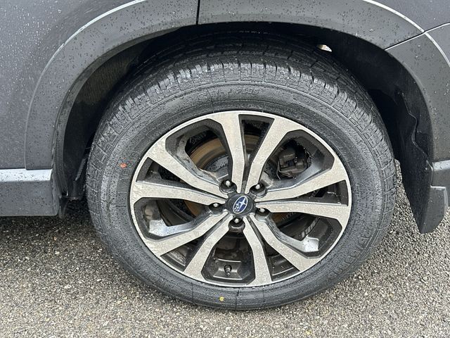 Thumbnail: 2023 Subaru Forester - 8