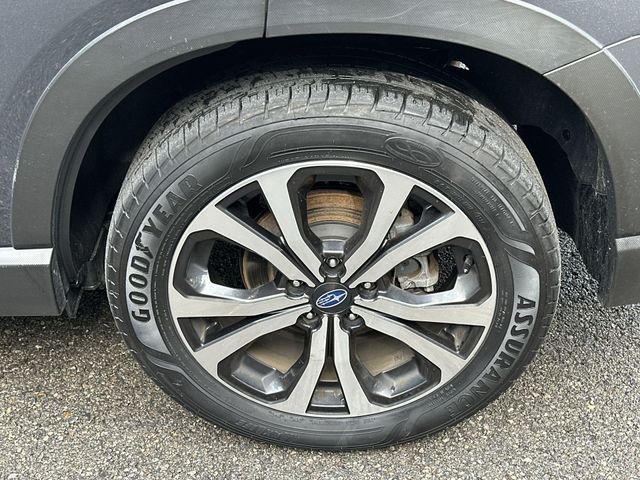 Thumbnail: 2023 Subaru Forester - 8
