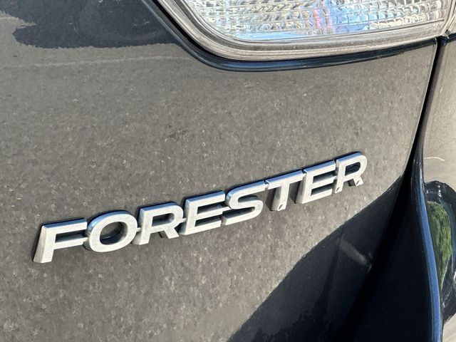 Thumbnail: 2019 Subaru Forester - 22