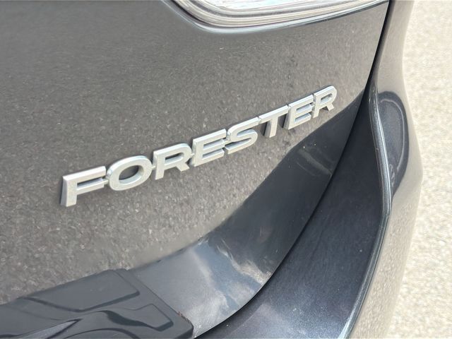 Thumbnail: 2019 Subaru Forester - 31