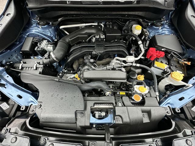 Thumbnail: 2025 Subaru Forester - 9