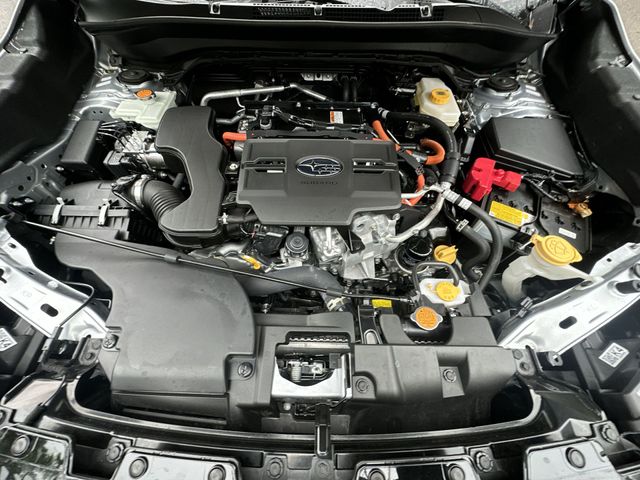 Thumbnail: 2025 Subaru Forester - 9