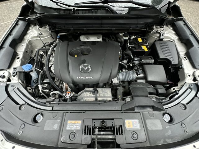 Thumbnail: 2025 Mazda CX-5 - 9