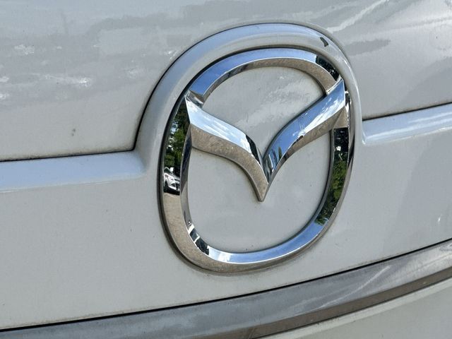 Thumbnail: 2010 Mazda CX-9 - 19