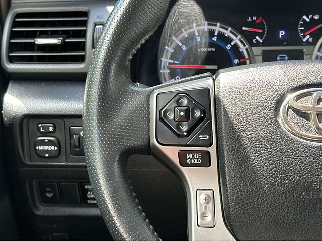 Thumbnail: 2019 Toyota 4Runner - 18