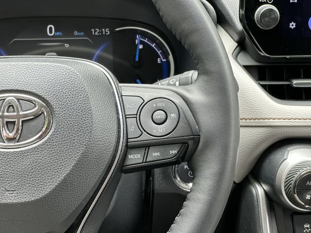 Thumbnail: 2025 Toyota RAV4 - 16