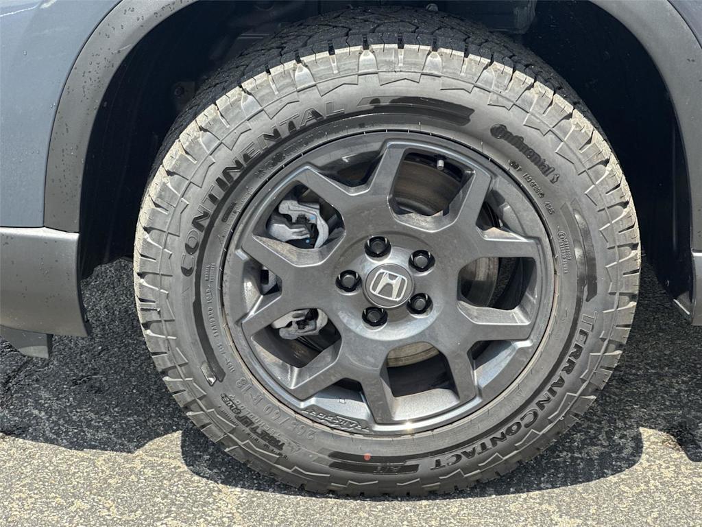 Thumbnail: 2026 Honda Pilot - 6