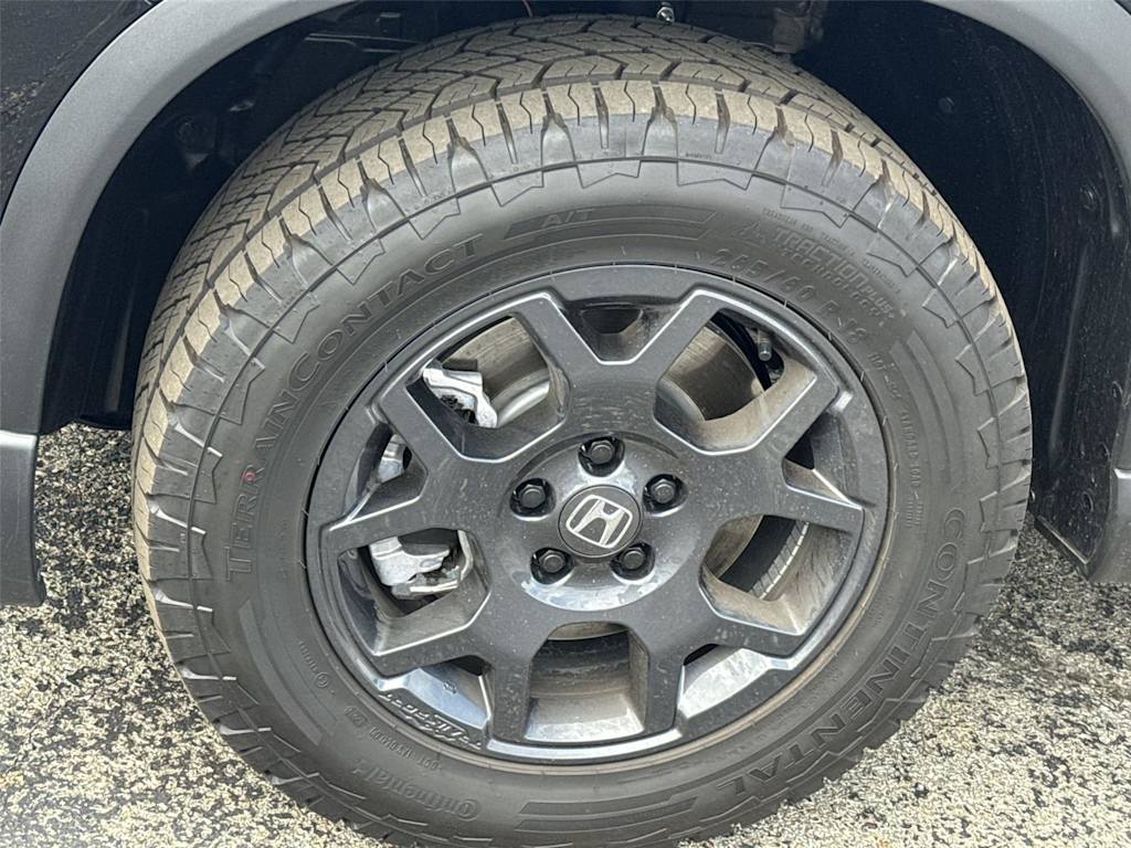 Thumbnail: 2026 Honda Pilot - 8