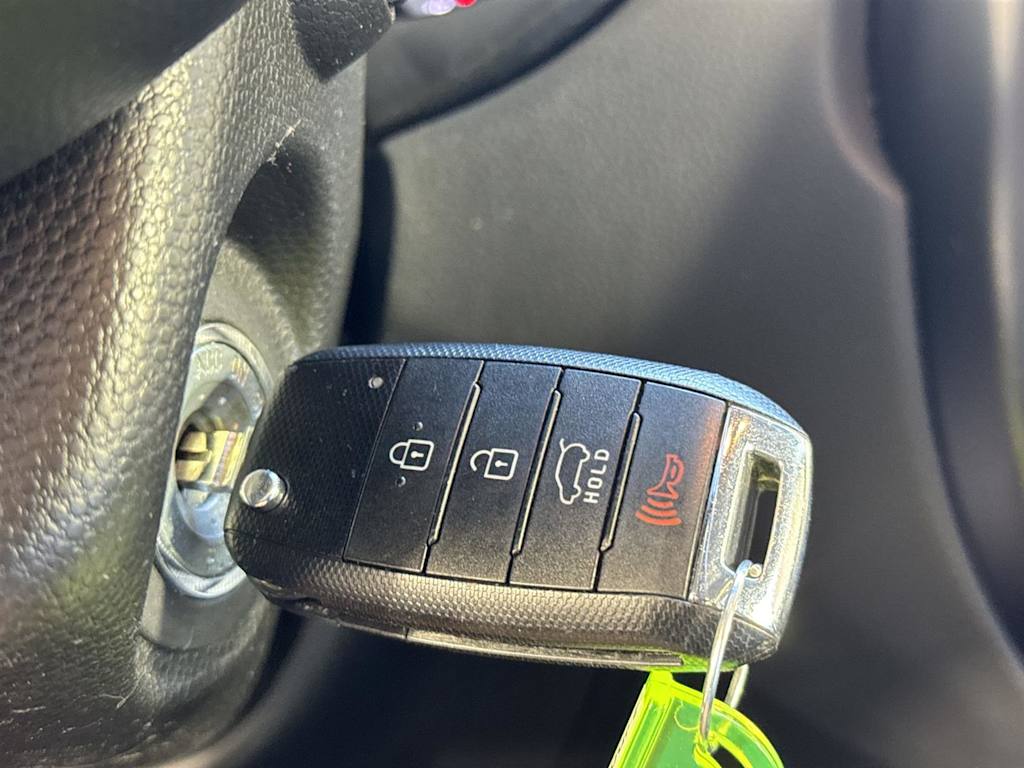 Thumbnail: 2016 Kia Soul - 14