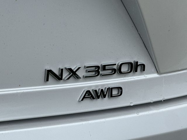 Thumbnail: 2022 Lexus NX - 22