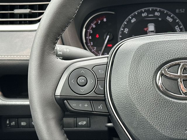 Thumbnail: 2025 Toyota RAV4 - 15