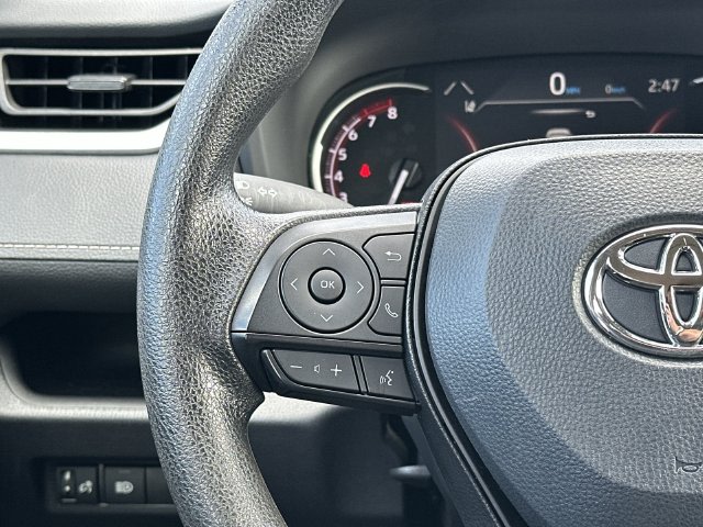 Thumbnail: 2025 Toyota RAV4 - 17
