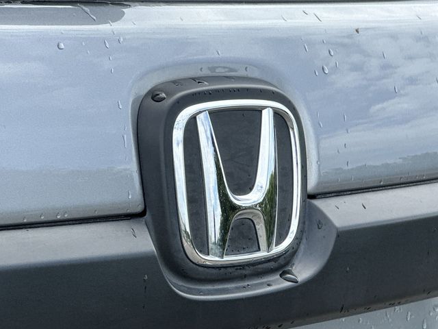 Thumbnail: 2019 Honda Passport - 7