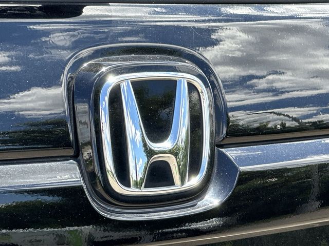 Thumbnail: 2023 Honda Passport - 7