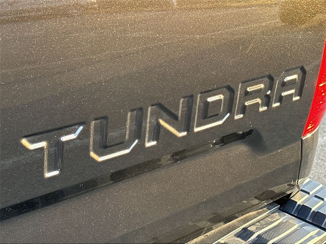 2020 Toyota Tundra Platinum 31