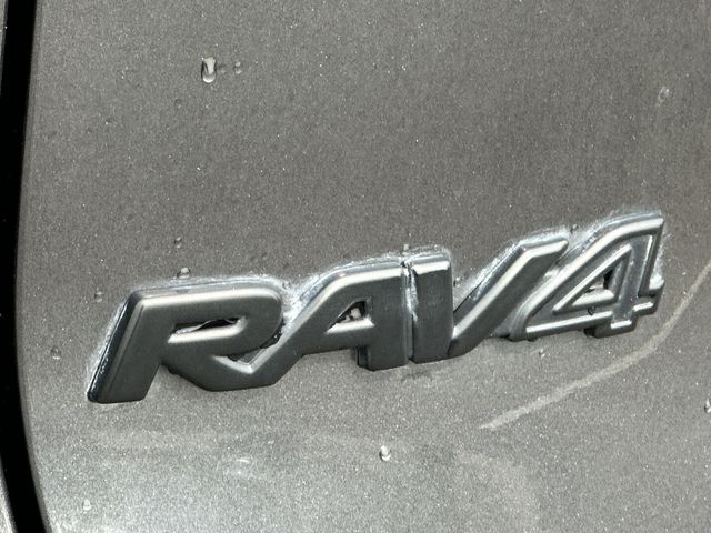 Thumbnail: 2025 Toyota RAV4 - 19