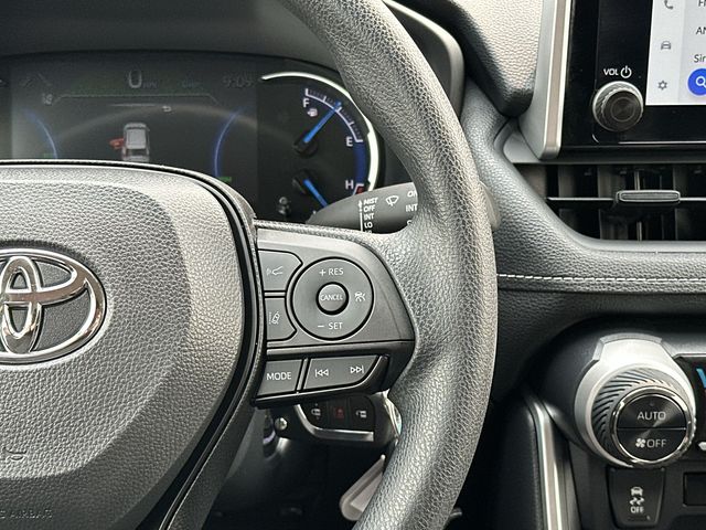 Thumbnail: 2025 Toyota RAV4 - 15