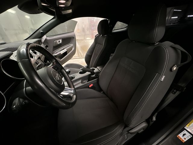 Thumbnail: 2022 Ford Mustang - 10