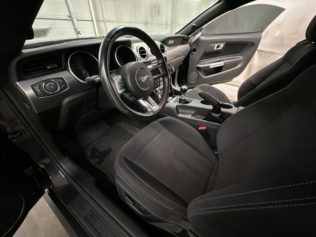 Thumbnail: 2022 Ford Mustang - 9