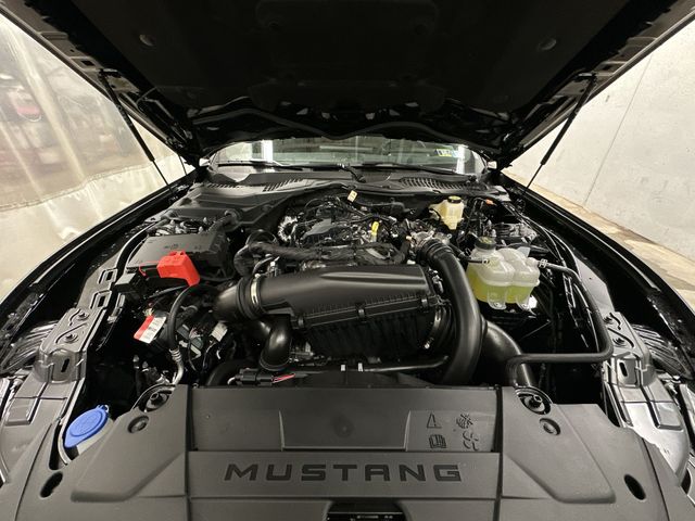 Thumbnail: 2026 Ford Mustang - 46